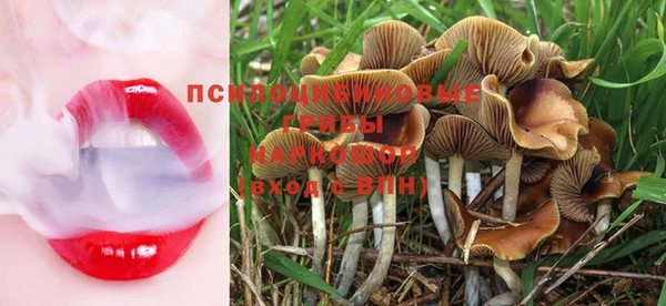 MDMA Белокуриха