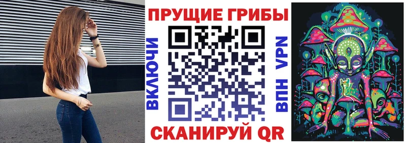 Псилоцибиновые грибы Psilocybine cubensis  Воткинск 
